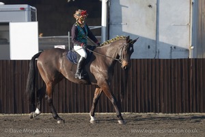 Collecting Ring Fancy Dress!